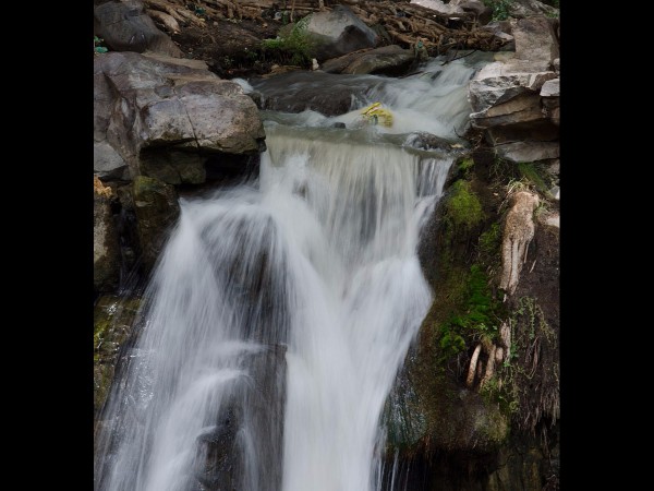 ఆనందకరమైన తెప్ప విహారం