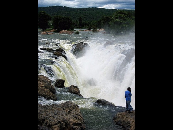 అరుదైన ప్రకృతి సోయగాలు