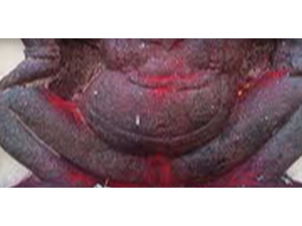 3. త్రిశూలాలు 