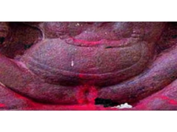 8. కొలువు దీరిన కామాఖ్యాదేవి