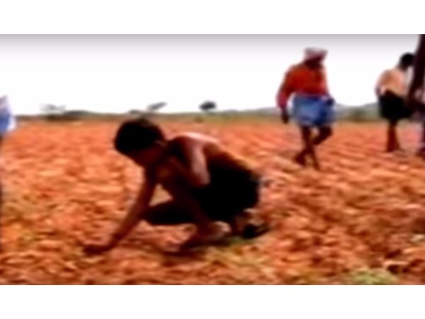 3. రికార్డులు ఏం చెబుతున్నాయి ?