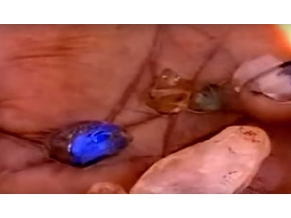 14. విదేశాల్లో ఉన్న సాధారణ వ్యక్తులు