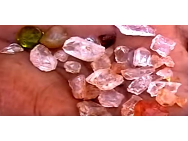 ఎవరిని సంప్రదించాలి