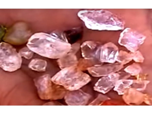 ప్రభుత్వ సంస్థలు