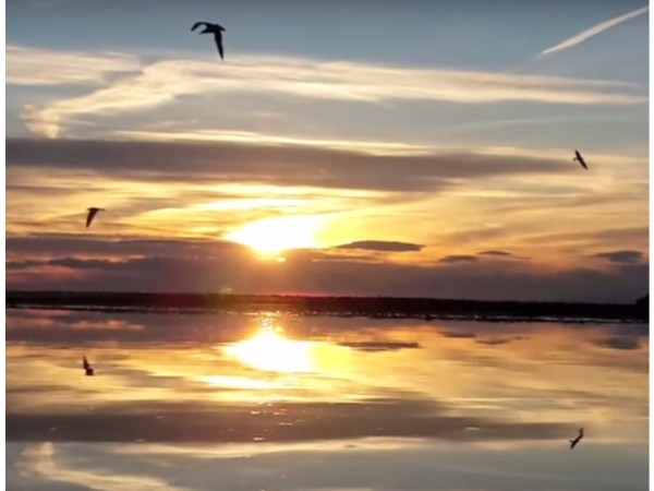 గుడిలో దాగిఉన్న నీడ రహస్యం