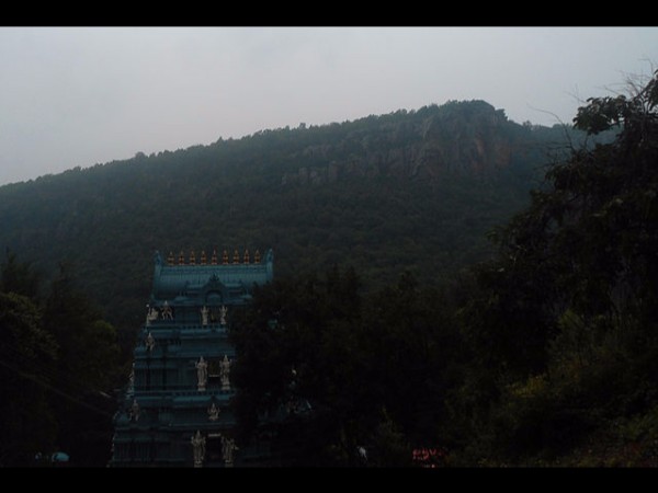 10. వేంకటేశ్వరస్వామి టెంపుల్, తిరుమలతిరుపతి