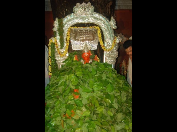 తన భక్తుడి కోరికతో చెట్టు క్రింద వెలసిన హనుమా 