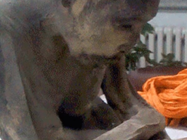 అతడు ఇంకా చనిపోలేదట