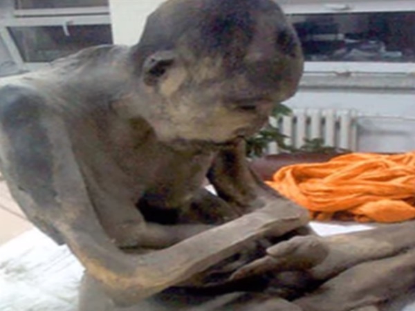 మమ్మీలా వున్న సన్యాసి