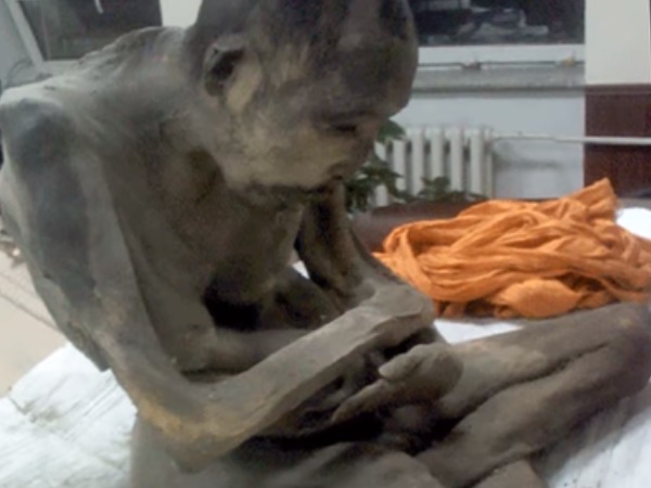 బౌద్ధసన్యాసులు 