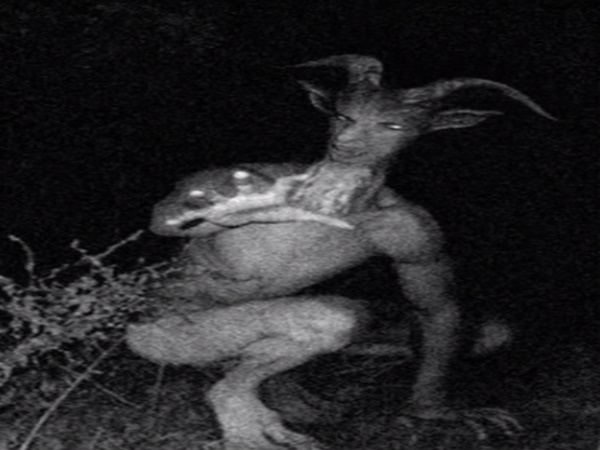 10. సీసీ కెమెరాల్లో రికార్డైన దృశ్యాలు