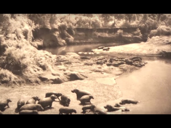 దీనికి గల కారణం ?