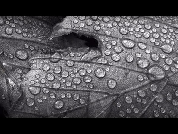 ఎందువల్ల ఇలా జరుగుతుంది ?