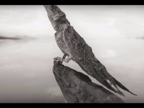 సరస్సు రంగు ఎలా వుంది?