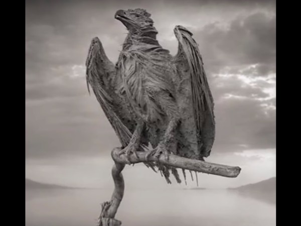 ఆ నీటిని తాకితే ఏమవుతుంది?