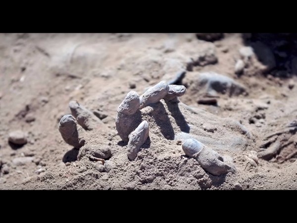 5. 3 కింగ్స్ చర్చ్