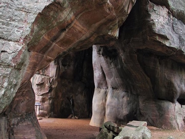 13. సందర్శన సమయం 