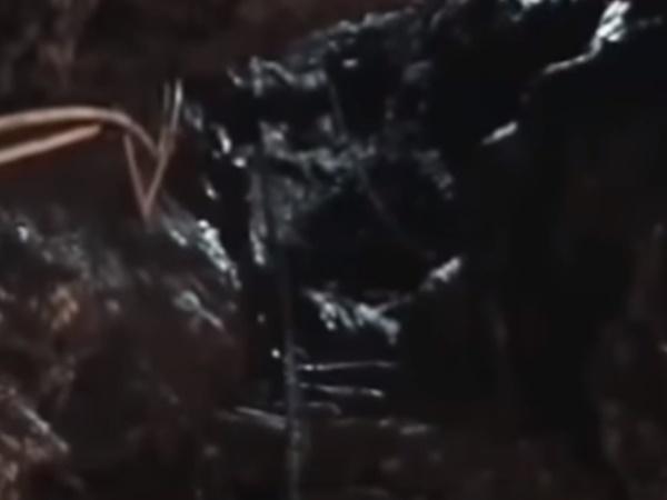 స్కంద పురాణం