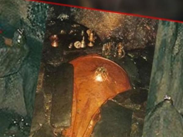 ప్రజా ఆవాసాలు