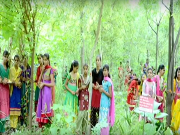 2. పిప్లాంట్రి