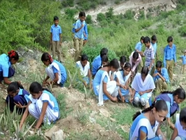 4. పిప్లాంట్రి