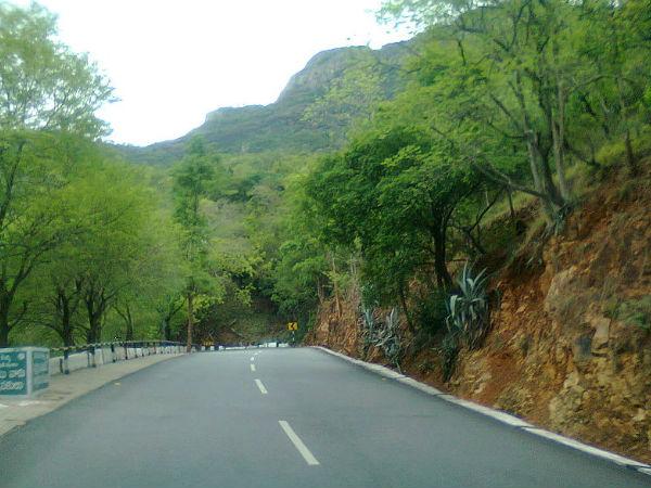 తిరుపతి ఘాట్ రోడ్డు