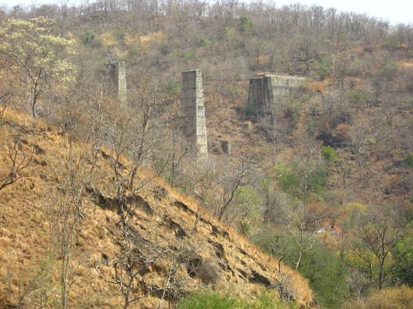 క్రూరమృగాలకు ఇది ఆవాసం