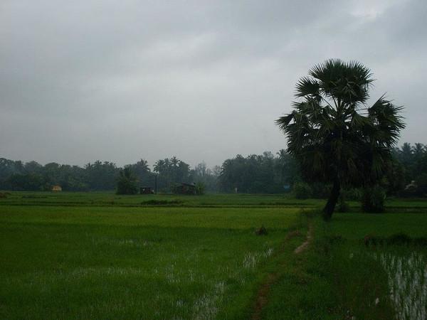 12. కోటేశ్వర దృశ్యం 