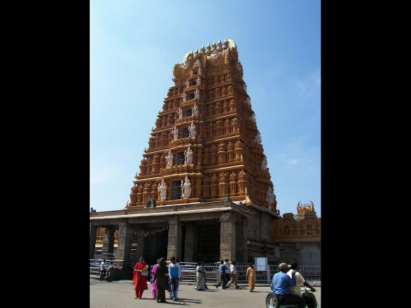 7. వేలాది భక్తులు