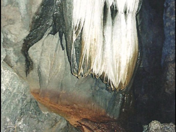 రితుపుర్ణ రాజు