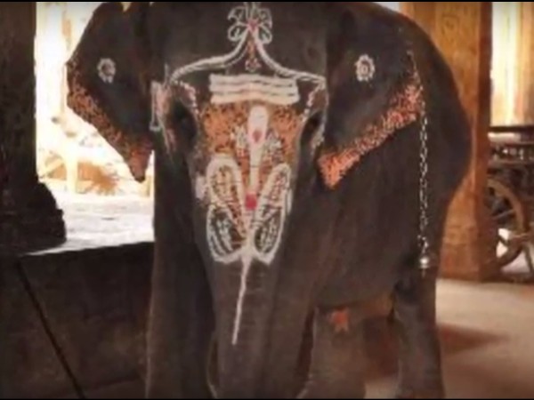 ఏనుగులు ప్రవేశించలేని గుడిలో, ప్రతిరోజూ ఏనుగుచే పూజలు చేయిస్తున్న ఆలయ అర్చకులు