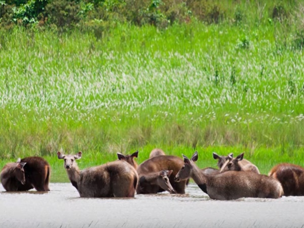 అక్కడికి వెళ్లిన వారి ప్రాణాలు తీస్తున్న దెయ్యాలు