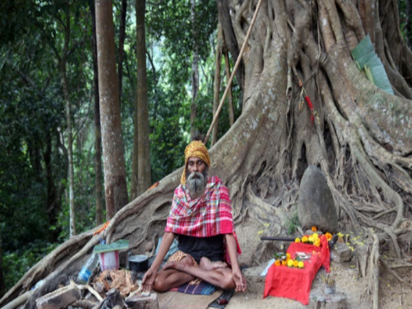 శిల్పాల ఎత్తు?