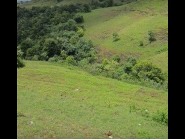 ఆ గుడిలో దళితులే అర్చకులు ! 