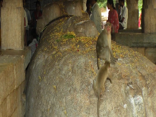 మిస్టరీ