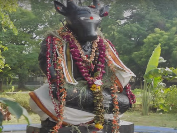 యాగంటిలో మనకు కాకులు కనపడదు