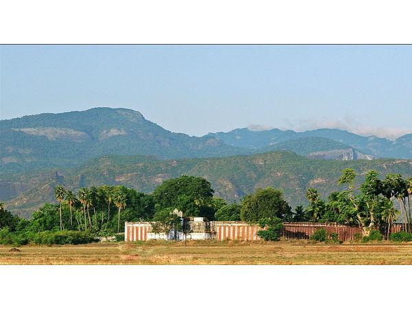 ప్రకృతి సౌందర్యం, పచ్చదనం