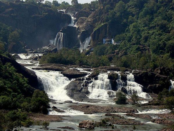 పచ్చదనంతో కూడిన అంబసముద్రం