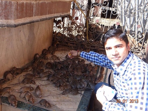 ఎక్కడ వుంది?