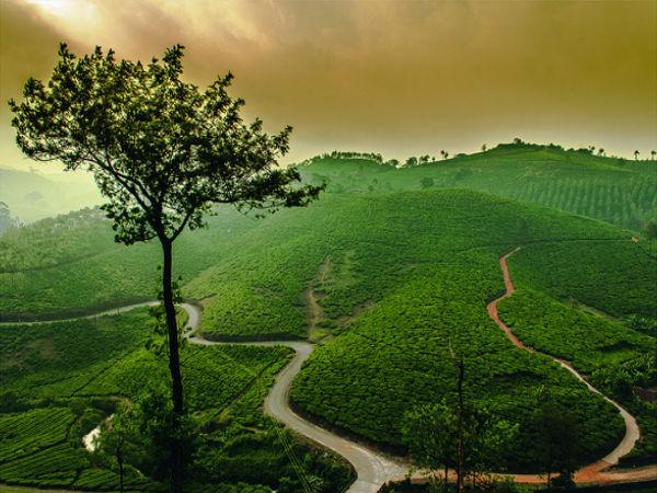 పీర్ మేడ్ సందర్శనీయ స్థలాలు