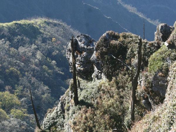 లవర్స్ పారడైజ్ 