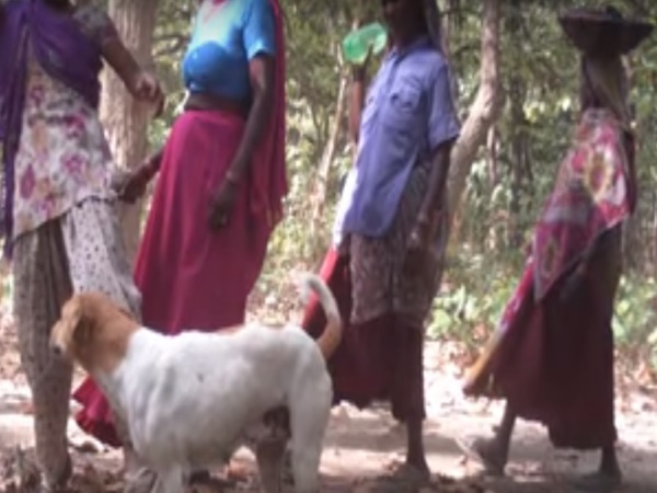 ఇలా ఎందుకు చేస్తున్నారు?