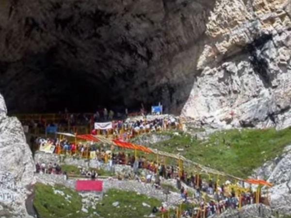 జంట పావురాల స్టోరీ వింటే షాకవుతారు