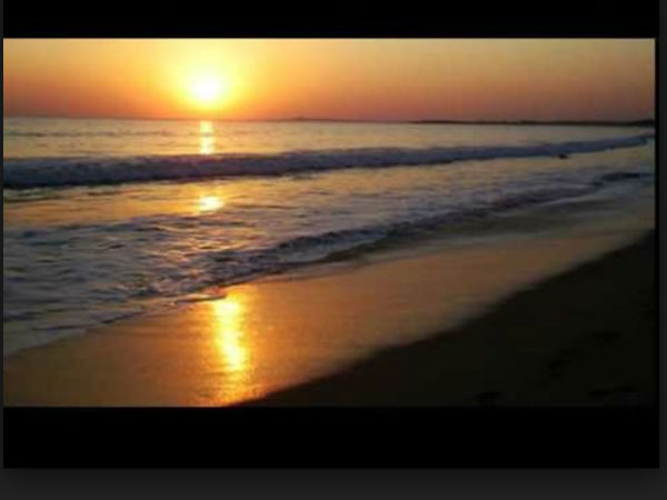 బీచ్ యొక్క సౌందర్యం