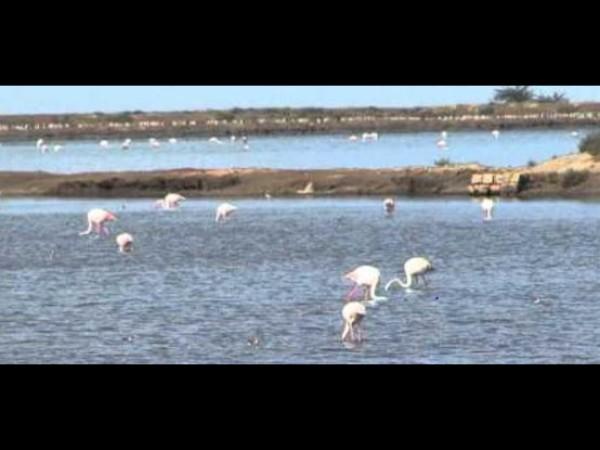 గౌరీ శంకర్ లేక్ మరియు విక్టోరియా ఫారెస్ట్ 