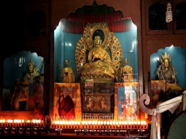 రాబర్స్ కేవ్ 