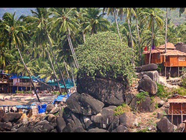 షాపింగ్ 