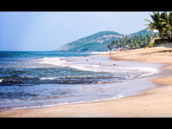 నైట్ క్లబ్లు