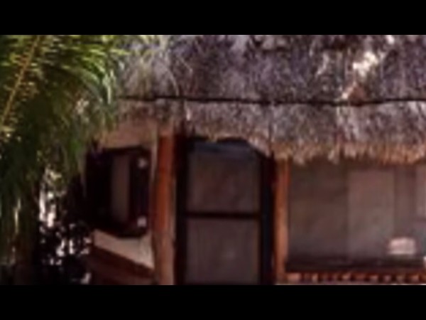 ప్రత్యక్షంగా అనుభవించగలేగే స్థానిక జీవనం