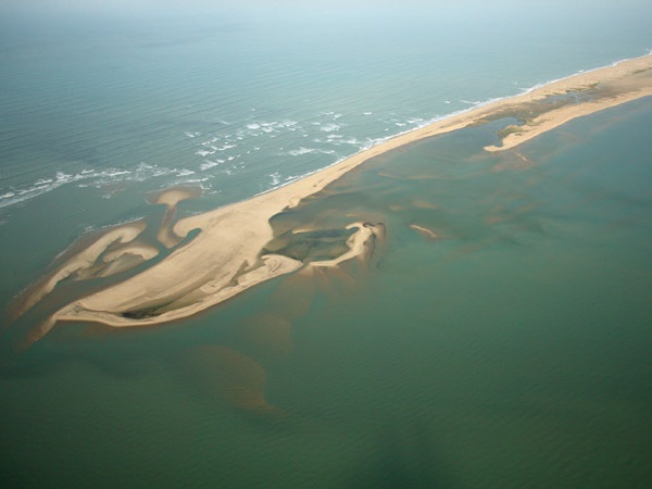 సునామీ 2014